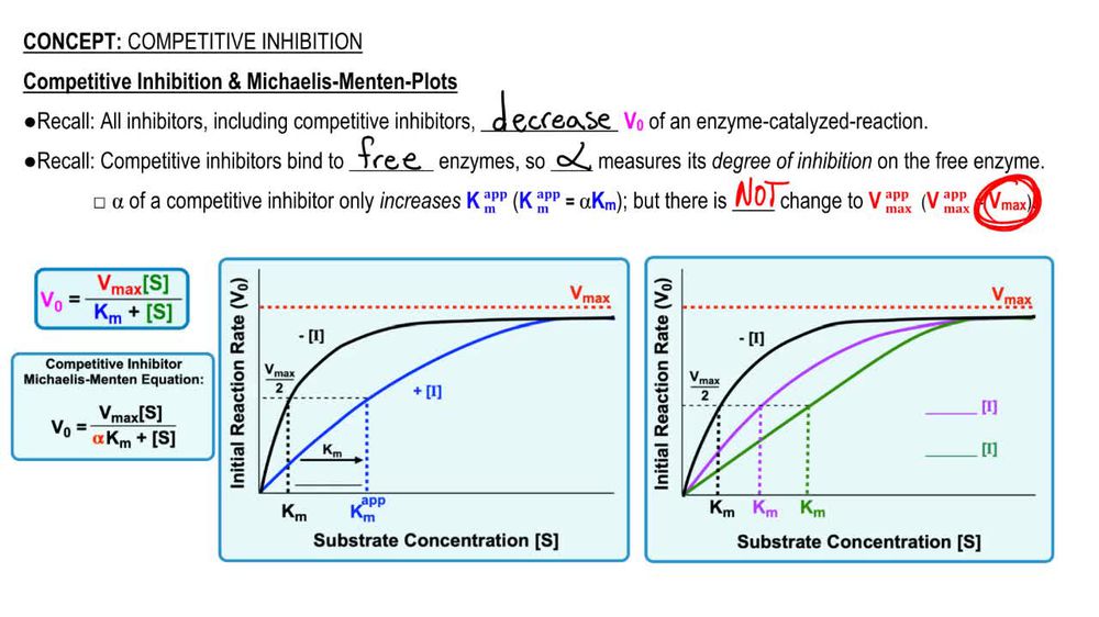Competitive Inhibition & Michaelis-Menten Plots