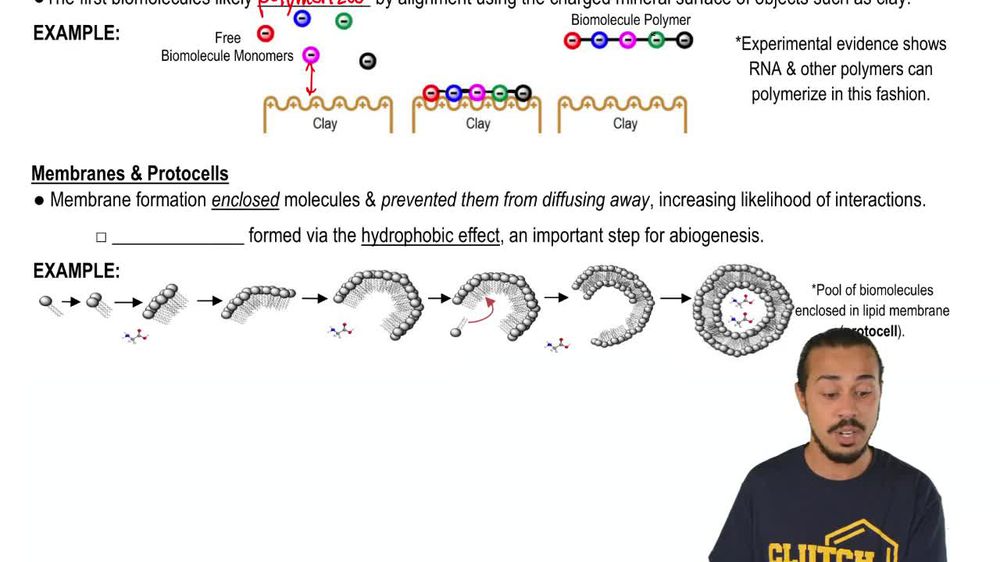 Biomolecule Polymer & Membrane Formation