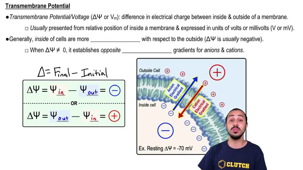Membrane Transport of Ions