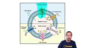 Summary of Membrane Transport