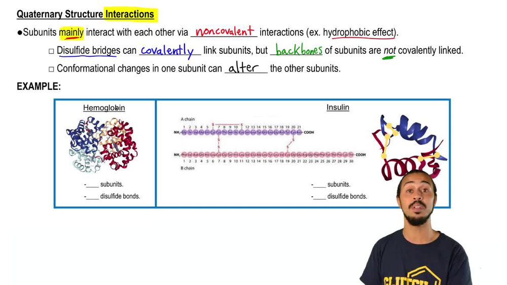Quaternary Structure