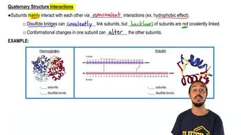 Quaternary Structure