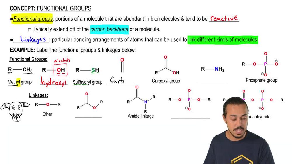 Functional Groups & Linkages