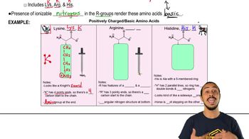 Charged Amino Acids