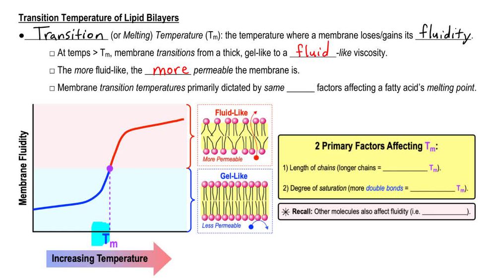 Physical Properties of Biological Membranes