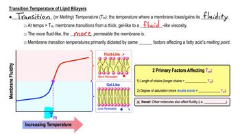 Physical Properties of Biological Membranes