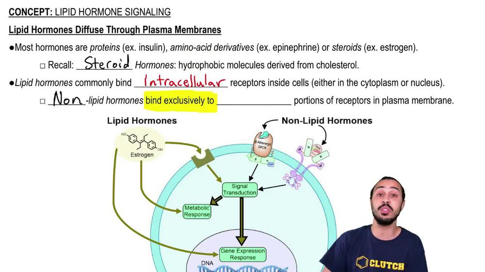 Lipid Hormone Signaling