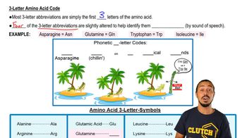 Phonetic 3-Letter Amino Acid Abbreviations