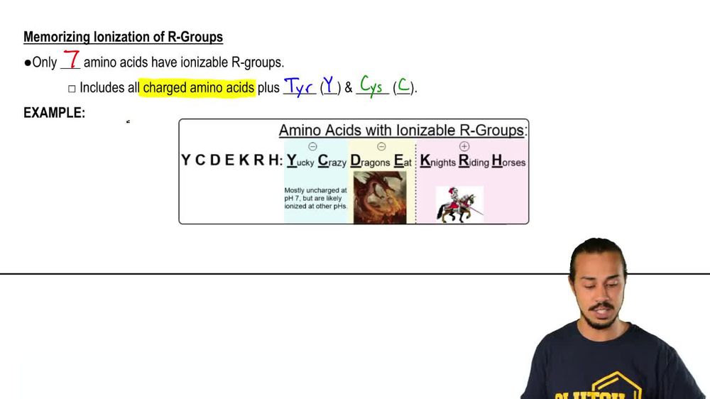 Memorizing Amino Acids With Ionizable R-Groups