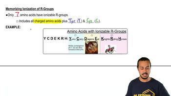 Memorizing Amino Acids With Ionizable R-Groups