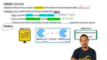 Cofactor