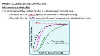 Allosteric Enzyme Conformations