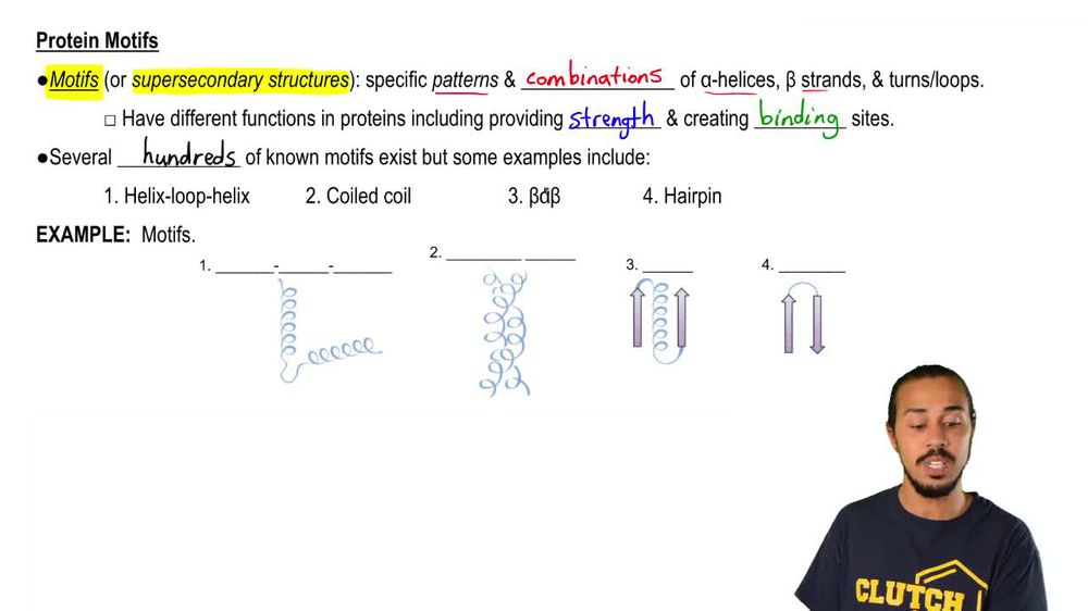 Protein Motifs and Domains