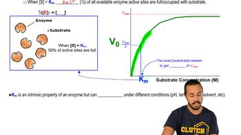 Km Enzyme
