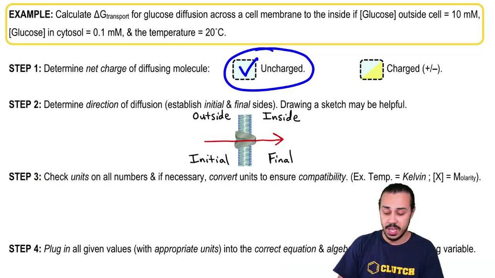 Thermodynamics of Membrane Diffusion: Uncharged Molecule Example 1