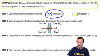 Thermodynamics of Membrane Diffusion: Uncharged Molecule Example 1