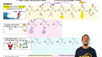 Memorizing Amino Acids