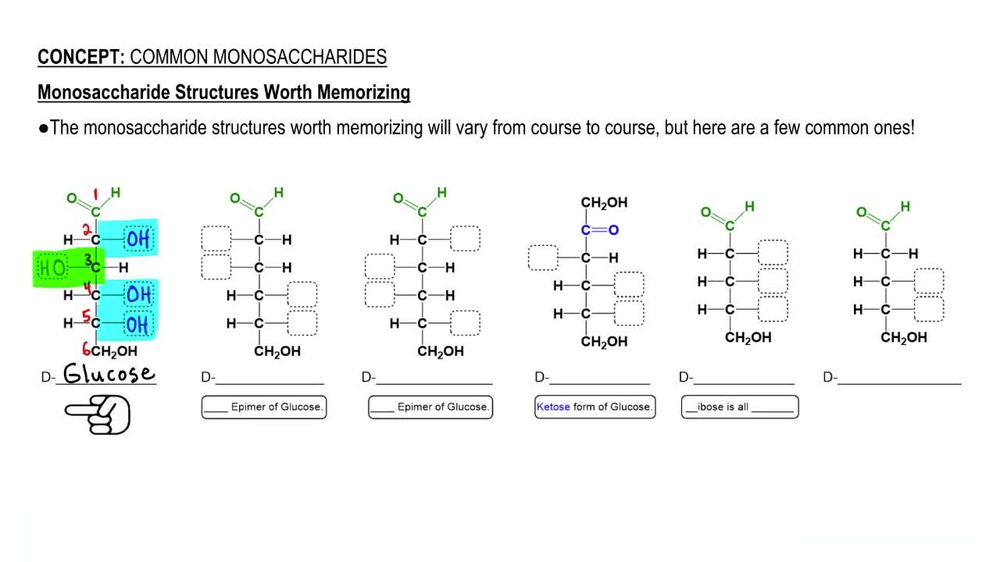 Common Monosaccharides