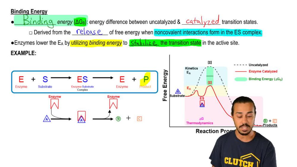 Enzyme-Substrate Complex