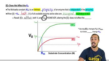 Km Enzyme