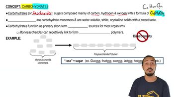 Carbohydrates