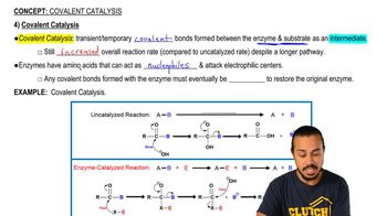 Covalent Catalysis 