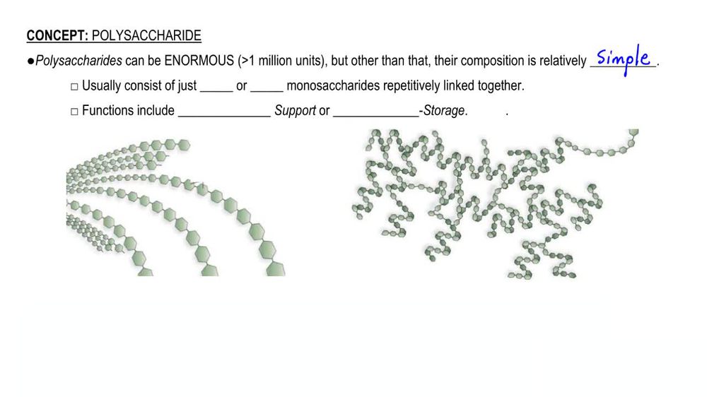 Polysaccharide