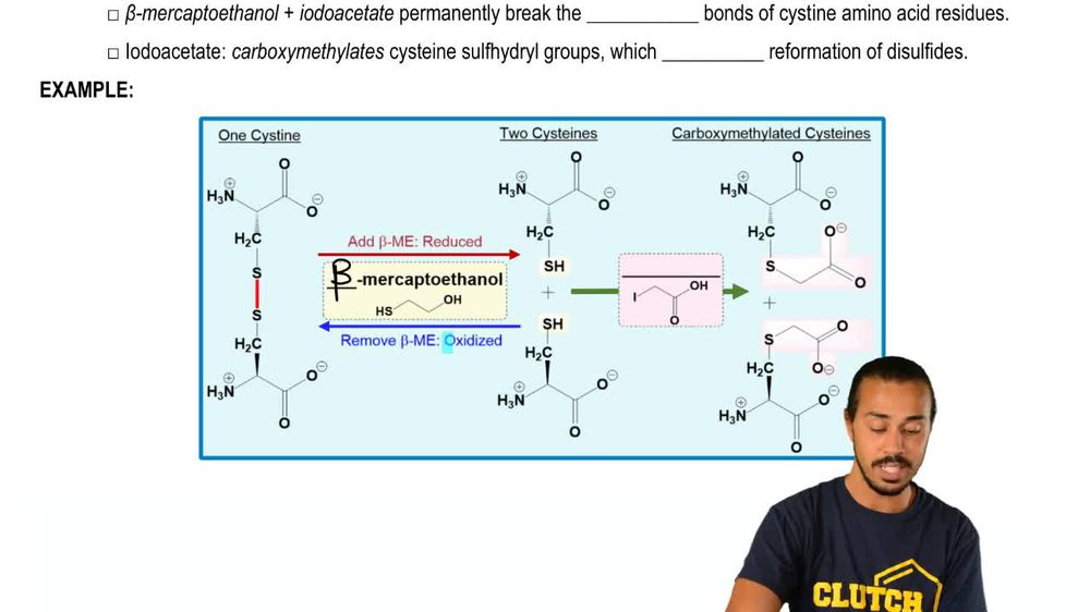 Chemical Cleavage Of Bonds