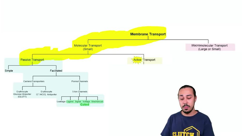 Membrane Transport of Ions