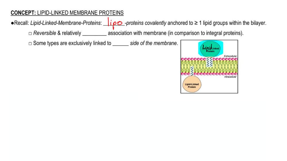 Lipid-Linked Membrane Proteins