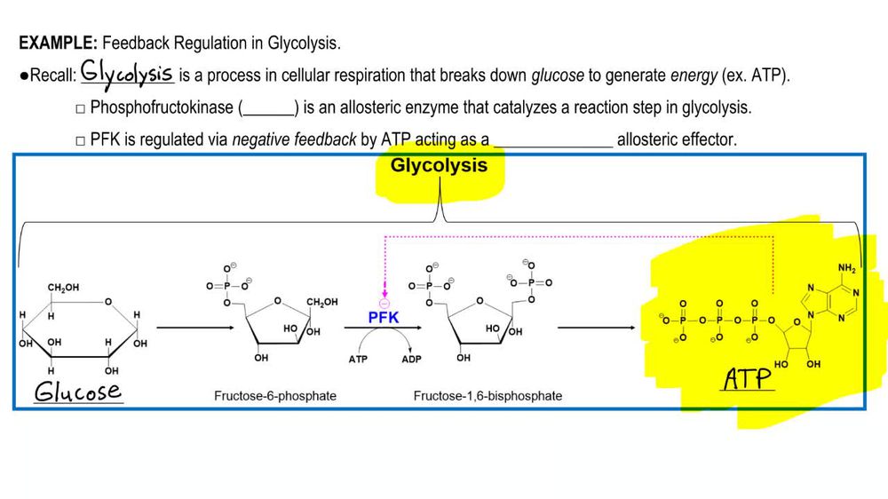 Negative Feedback Example 1
