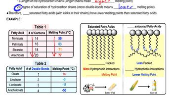 Fatty Acids