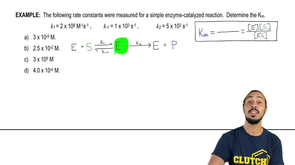 Calculating Km Example 1