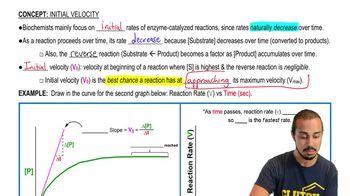 Initial Velocity