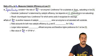 Specificity Constant 