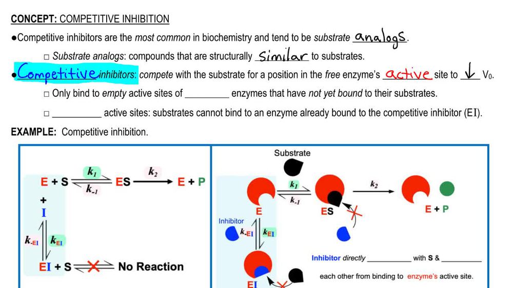 Competitive Inhibition