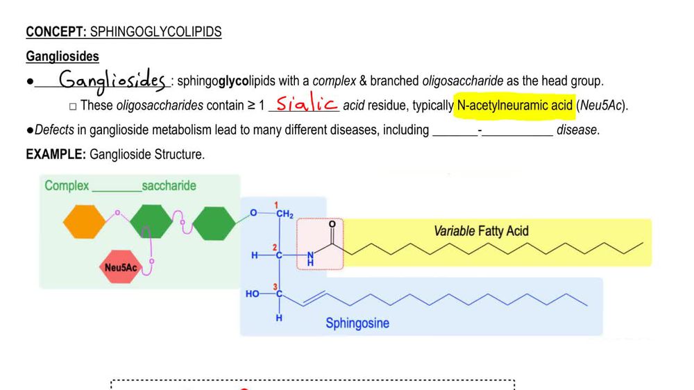 Sphingoglycolipids