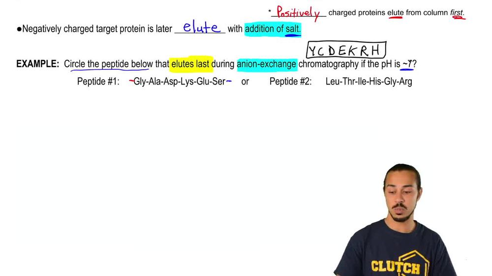 Anion-Exchange Chromatography Example