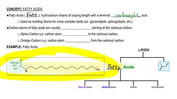 Fatty Acids