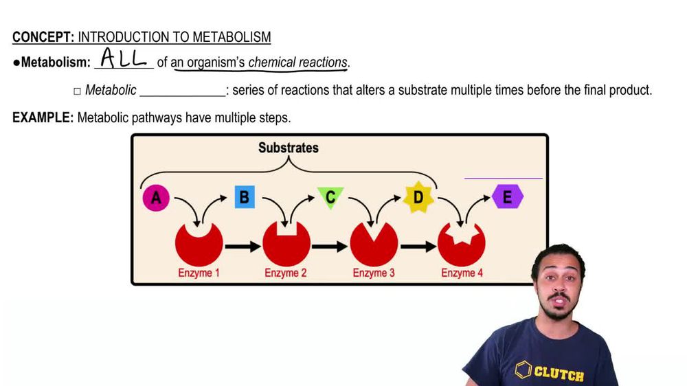 Introduction to Metabolism