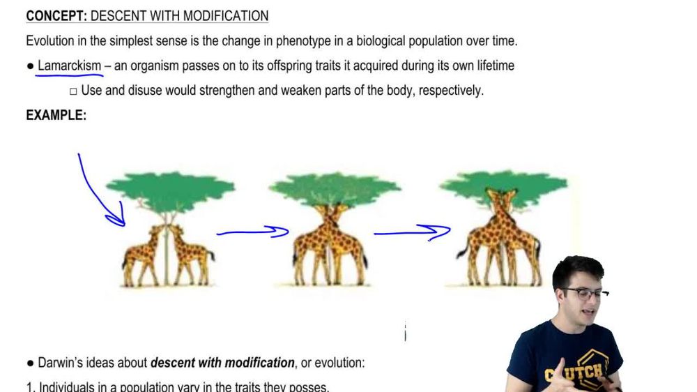 Descent With Modification
