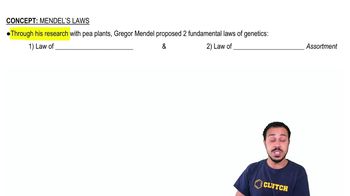 Mendel's Laws