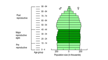 Animation: Analyzing Age-Structure Pyramids