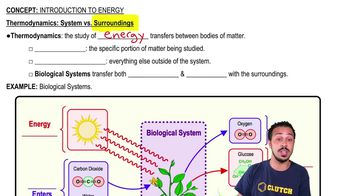 Thermodynamics: System vs. Surroundings