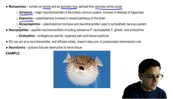 Neurotransmitters