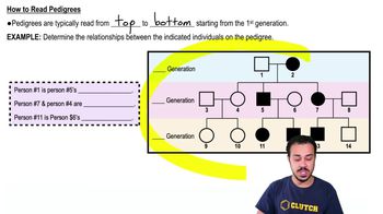 How to Read Pedigrees