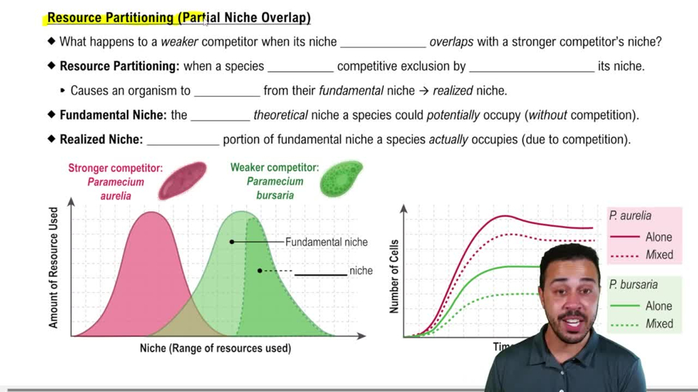 Resource Partitioning (Partial Niche Overlap)
