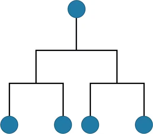 Cell lineage diagram with one parent cell dividing into three blue cells.
