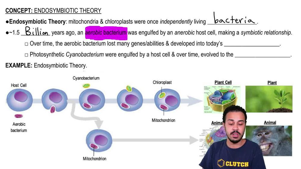 Endosymbiotic Theory