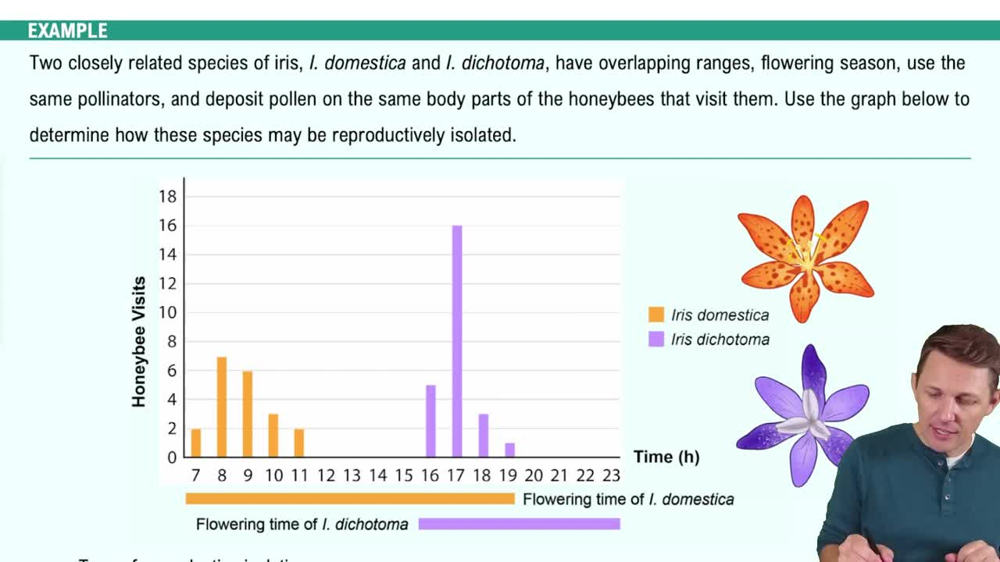 The Biological Species Concept Example 3